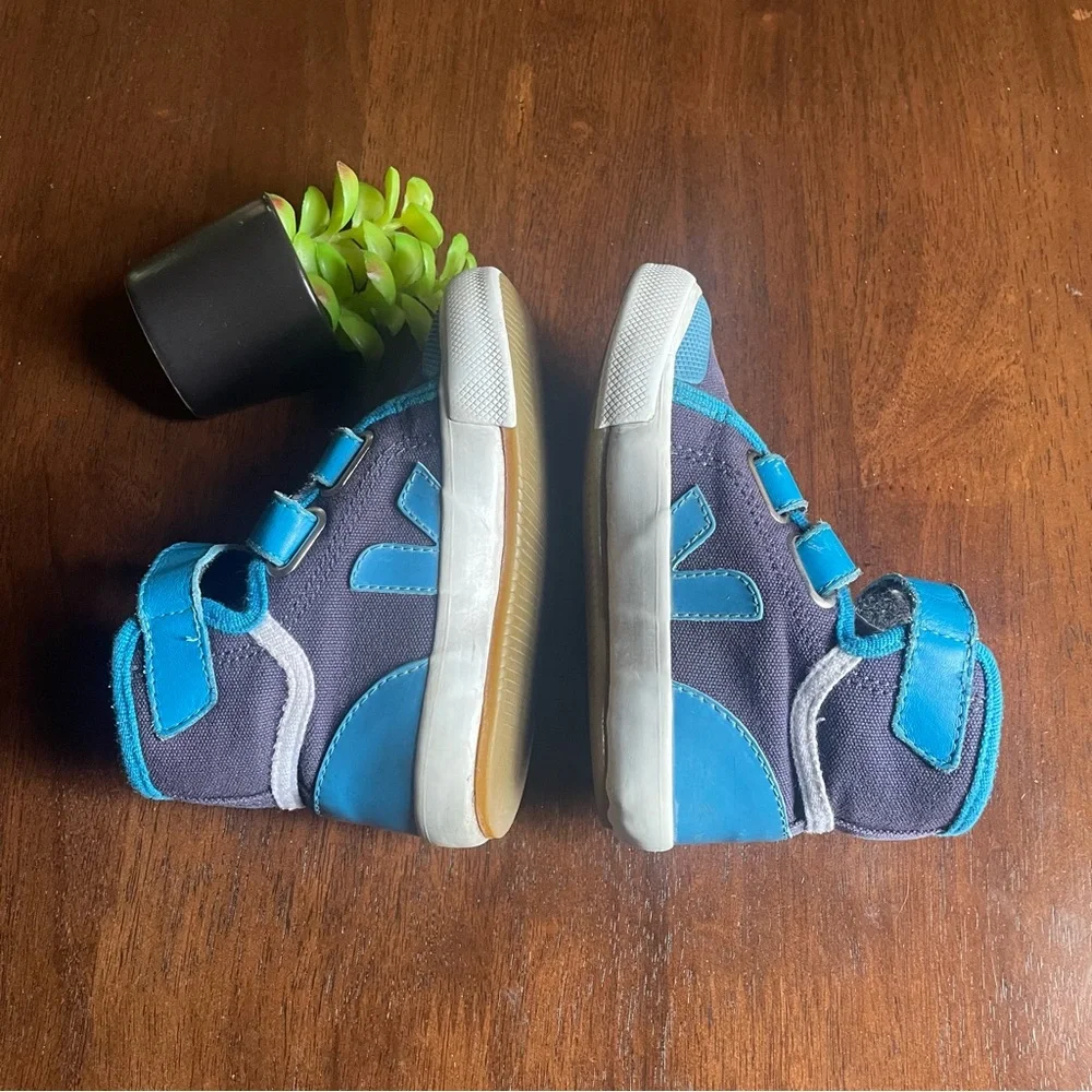 Veja blue white